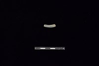 陶環藏品圖，第2張